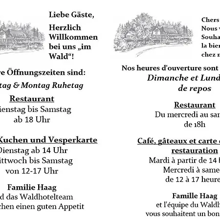 Waldhotel Bad 4* Sulzburg