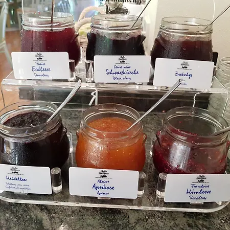 Hotel Waldhotel Bad 4*