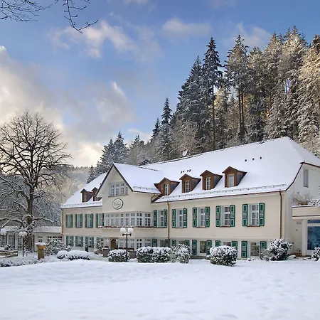 Waldhotel Bad Hotel Sulzburg