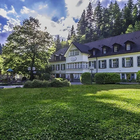 Waldhotel Bad Hotel