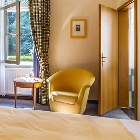 Waldhotel Bad 4* Sulzburg