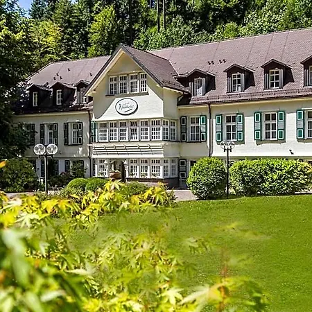 Waldhotel Bad 4* Sulzburg