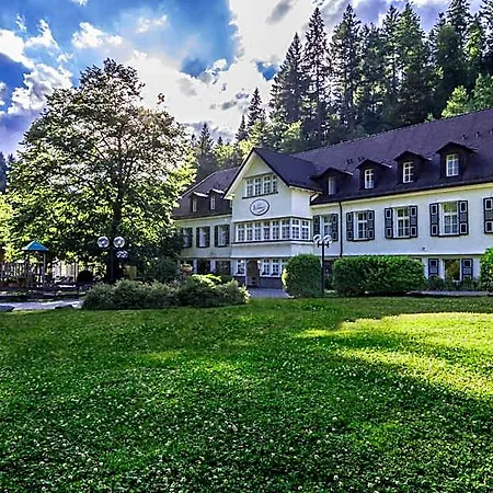 Hotel Waldhotel Bad Sulzburg