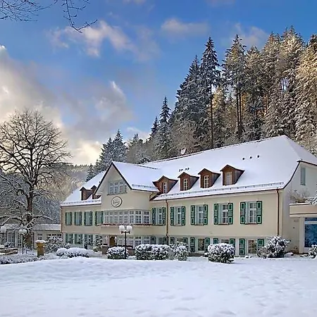 Waldhotel Bad Hotel